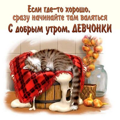 Открытка «С добрым утром»: С добрым утром, девчонки! Уютно валяться с котом. Тэги: кот, животное, пожелание, юмор…