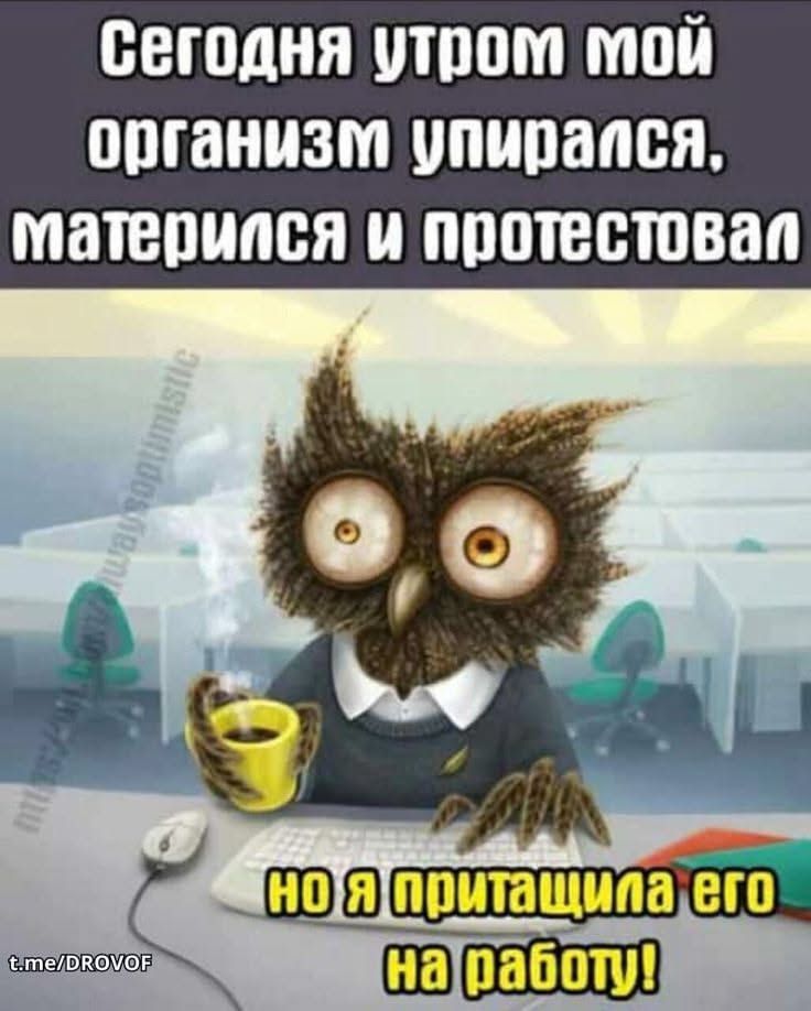 Открытка «С добрым утром»: Доброе утро: когда организм против работы. Тэги: животное, пожелание, позитивная, юмор…