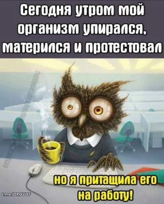 Открытка «С добрым утром»: Доброе утро: когда организм против работы. Тэги: животное, пожелание, позитивная, юмор…