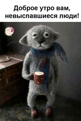 Открытка «С добрым утром»: Доброе утро невыспавшимся от милого котика!. Тэги: кот, животное, пожелание, позитивная…