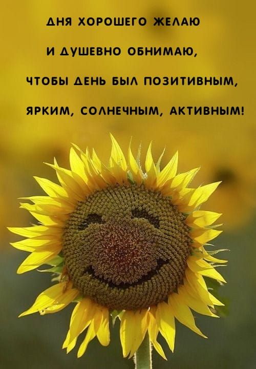 Открытка «С добрым утром»: С добрым утром! Пусть день будет ярким и позитивным. Тэги: пожелание, отличное настроение…