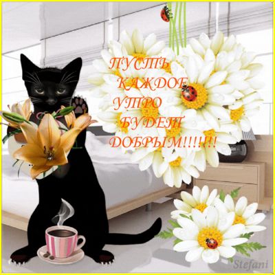 Открытка «С добрым утром»: Нежное доброе утро: кот, лилии, кофе и ромашки. Тэги: кот, животное, пожелание, позитивная…