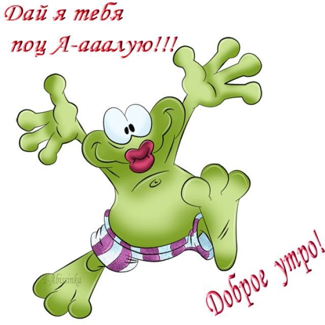 Открытка «С добрым утром»: С добрым утром! Дай я тебя поцелую!. Тэги: животное, пожелание, позитивная, юмор, прикольн…