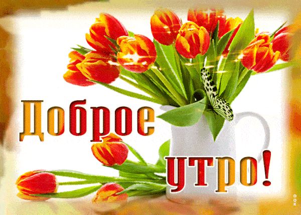 Открытка «С добрым утром»: Доброе утро: яркие тюльпаны и порхающая бабочка. Тэги: хорошего дня, пожелание, позитивная…
