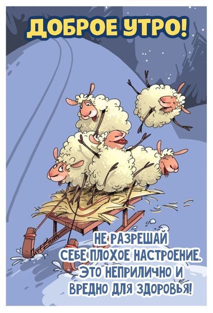Открытка «С добрым утром»: С добрым утром! Гони плохое настроение прочь!. Тэги: хорошего дня, животное, пожелание…