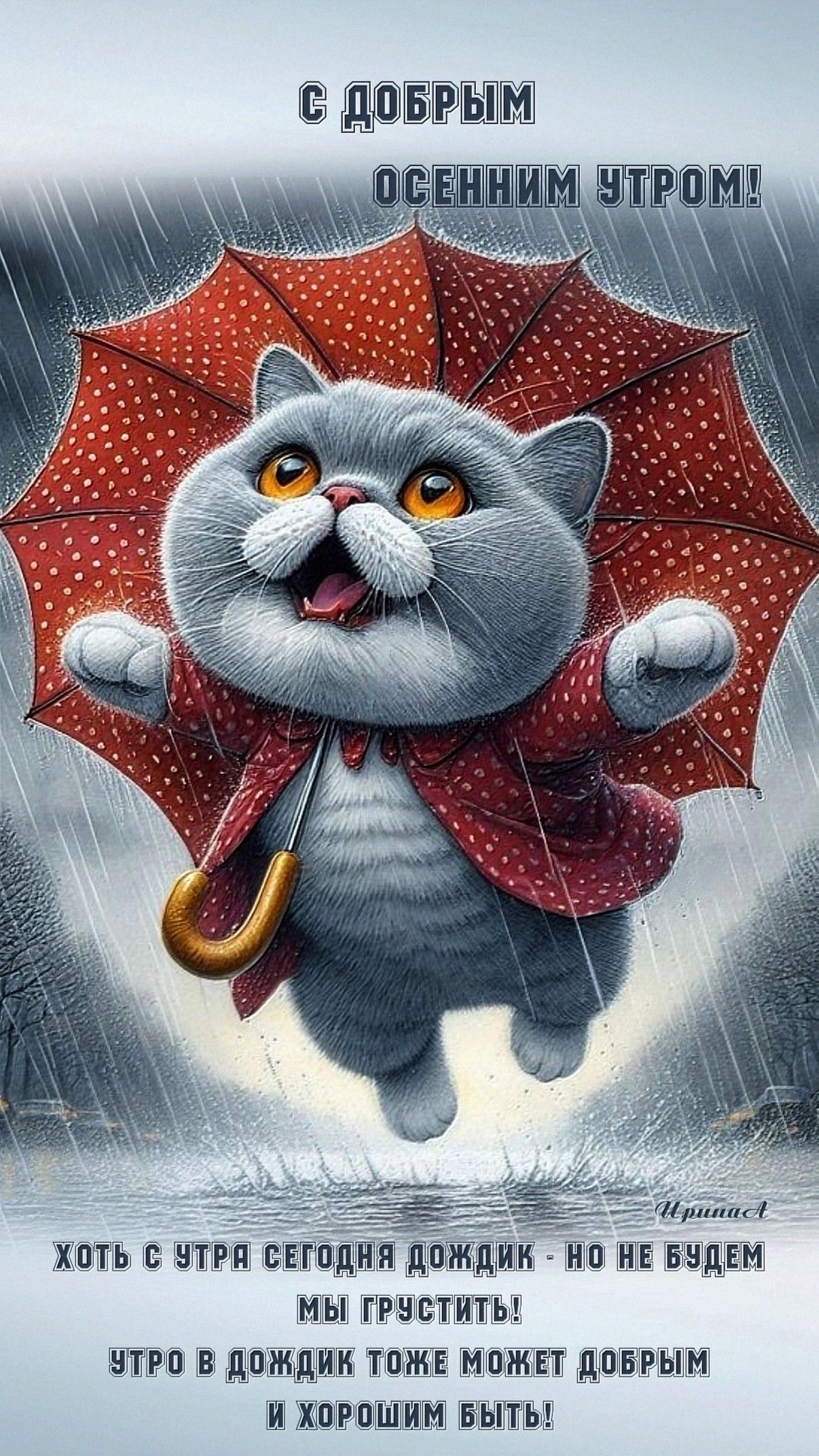 Открытка «С добрым утром»: Доброе осеннее утро с веселым котом под зонтом. Тэги: кот, животное, пожелание, улыбка…