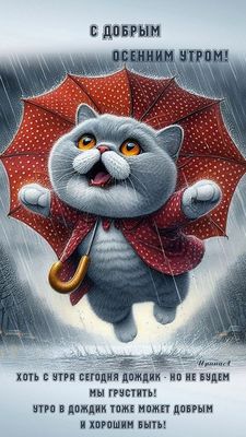 Открытка «С добрым утром»: Доброе осеннее утро с веселым котом под зонтом. Тэги: кот, животное, пожелание, улыбка…