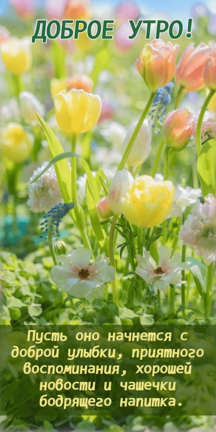 Открытка «С добрым утром»: Доброе утро: цветы, улыбки и хороший день!. Тэги: пожелание, улыбка, утро, позитив, хороше…