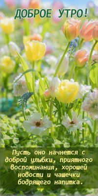 Открытка «С добрым утром»: Доброе утро: цветы, улыбки и хороший день!. Тэги: пожелание, улыбка, утро, позитив, хороше…