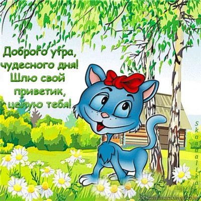 Открытка «С добрым утром»: Доброго утра и чудесного дня от милого котика!. Тэги: кот, животное, пожелание, позитивная…