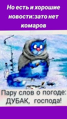 Открытка «С добрым утром»: Доброе утро: Дубак, но без комаров!. Тэги: кот, животное, пожелание, позитивная, юмор…