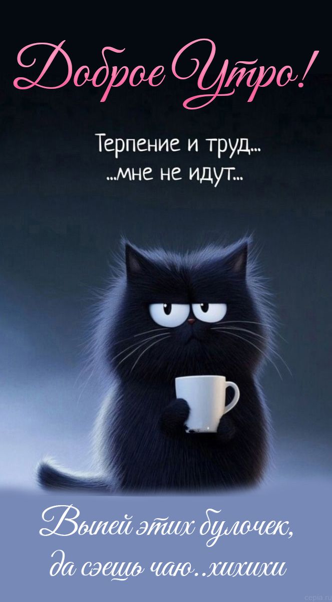 Открытка «С добрым утром»: С добрым утром! Кот-ворчун и утренний юмор. Тэги: кот, животное, пожелание, позитивная…