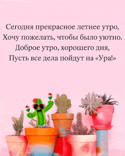 Открытка «С добрым утром»: Летнее утро: Отличное настроение и дела на Ура!. Тэги: Добрый день, С добрым, летним утром…