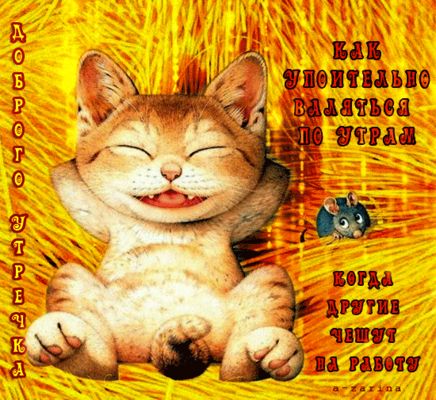 Открытка «С добрым утром»: С добрым утром! Упоительное безделье кота. Тэги: кот, животное, пожелание, позитивная…
