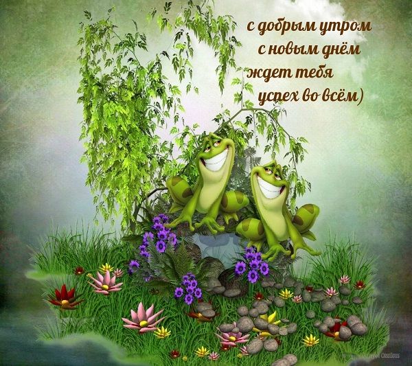 Открытка «С добрым утром»: С добрым утром! Пусть успех ждет тебя во всём!. Тэги: животное, пожелание, позитивная…