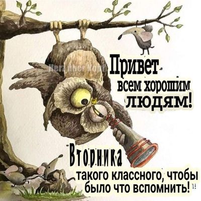 Открытка «Добрый день»: С добрым утром и классного вторника!. Тэги: классный, Добрый день и добрые пожелания, Добрый…