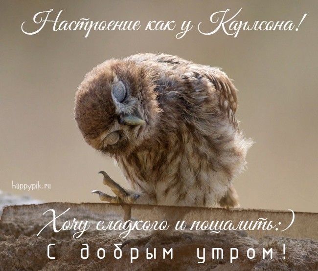 Открытка «С добрым утром»: С добрым утром: настроение как у Карлсона!. Тэги: животное, пожелание, позитивная, отлично…