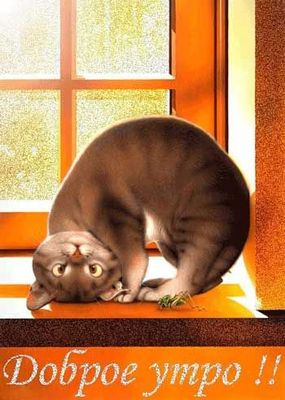 Открытка «С добрым утром»: С добрым утром: Игривый кот на солнечном окне. Тэги: кот, животное, пожелание, позитивная…