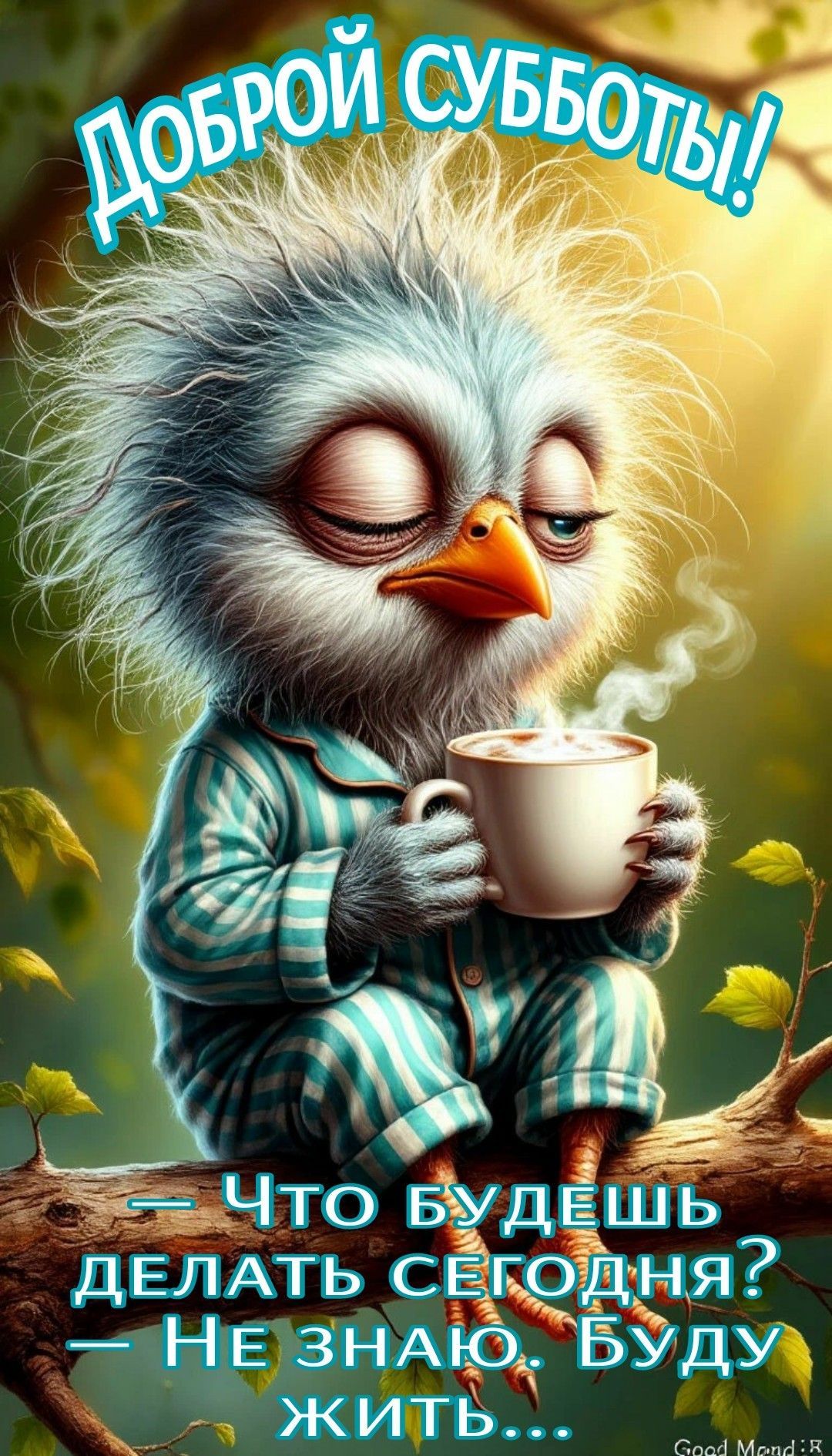 Открытка «С добрым утром»: Субботнее утро: кофе, покой и мудрое жить!. Тэги: хорошего дня, животное, пожелание…