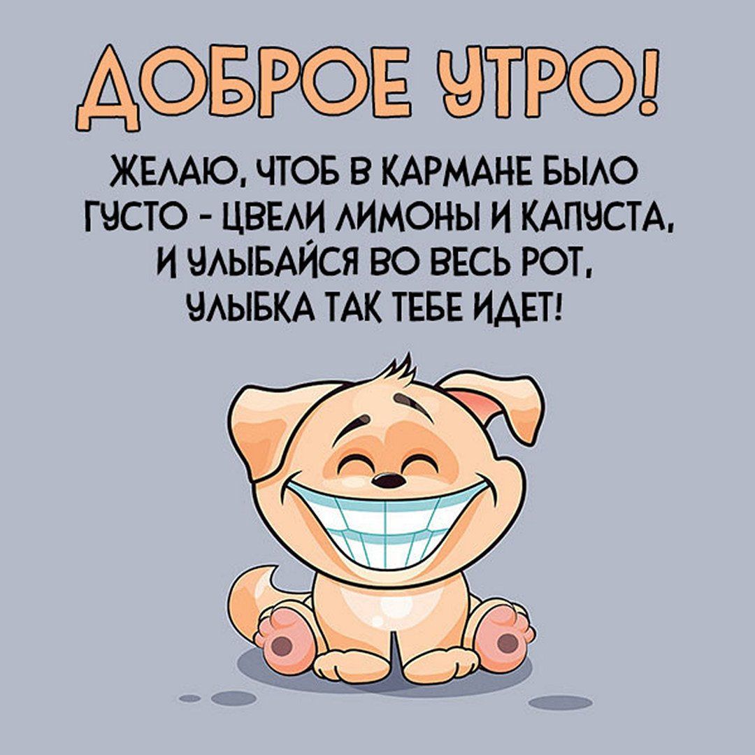 Открытка «С добрым утром»: Доброе утро: улыбайся и богатей!. Тэги: С добрым утром с юмором, С добрым утром с животными…