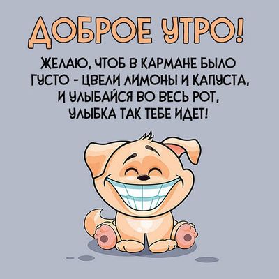 Открытка «С добрым утром»: Доброе утро: улыбайся и богатей!. Тэги: С добрым утром с юмором, С добрым утром с животными…