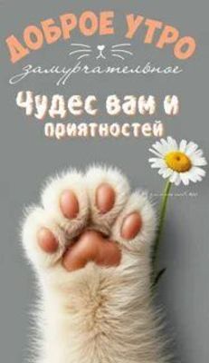 Открытка «С добрым утром»: Замечательное утро: чудес и приятностей от лапки. Тэги: С добрым утром, с котами!, С добры…