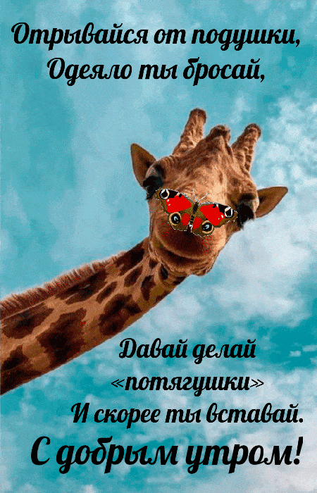 Открытка «С добрым утром»: Позитивное утро с жирафом и бабочкой. Тэги: животное, пожелание, позитивная, отличное наст…