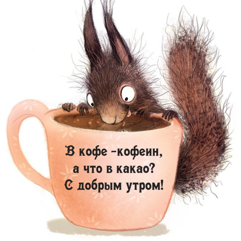Открытка «С добрым утром»: Смешная белка в чашке кофе: С добрым утром!. Тэги: животное, пожелание, позитивная, отличн…