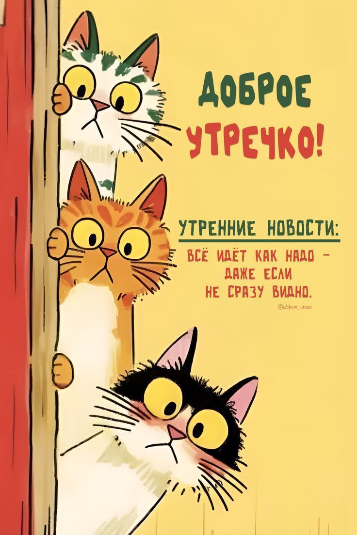 Открытка «С добрым утром»: Милое доброе утречко: коты и хорошие новости!. Тэги: хорошего дня, кот, животное, пожелание…