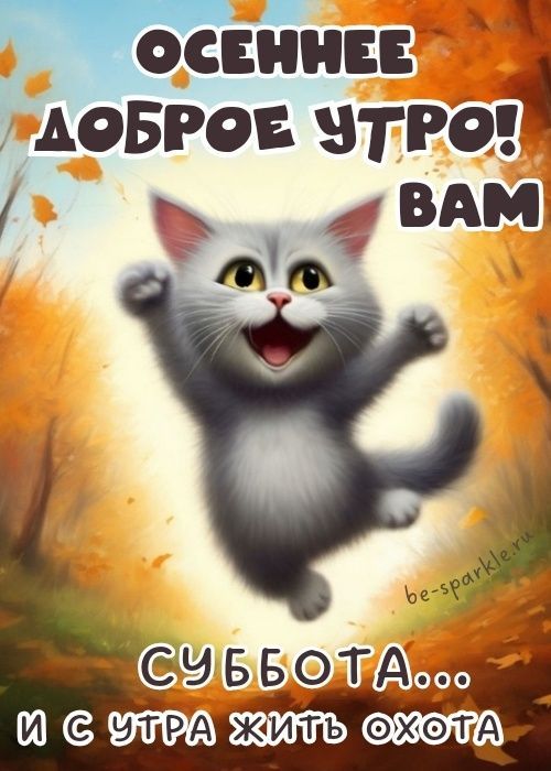 Открытка «С добрым утром»: Субботнее осеннее утро: веселый кот и отличное настроение. Тэги: кот, животное, пожелание…