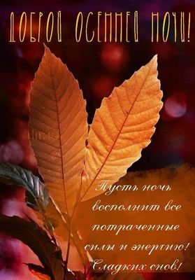 Открытка «Пожелание»: Добрый осенний ночи! Осенние листья и сладкие сны. Тэги: осень, настроение, дерево, природа…