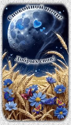 Открытка «Спокойной ночи»: Спокойной ночи и добрых снов с луной и цветами. Тэги: Спокойной ночи, красивые, Спокойной…