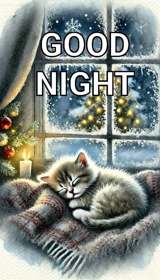 Открытка «Доброй ночи»: Милый котенок спит крепким сном у зимнего окна. Тэги: Спокойной ночи, Спокойной ночи, красивые…