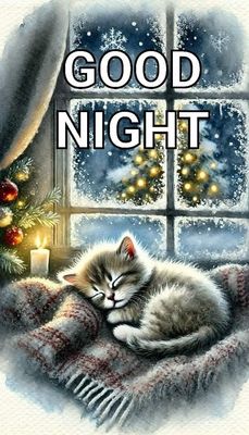 Открытка «Доброй ночи»: Милый котенок спит крепким сном у зимнего окна. Тэги: Спокойной ночи, Спокойной ночи, красивые…