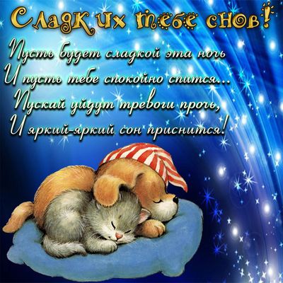 Открытка «Спокойной ночи»: Сладких снов от пушистых друзей. Тэги: Добрый вечер и пожелания, Добрый вечер и спокойной…