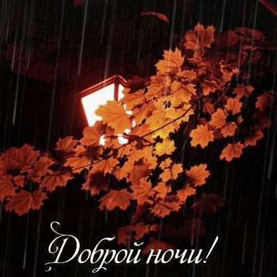 Открытка «Доброй ночи»: Добрый ночи! Осенний фонарь под дождем.