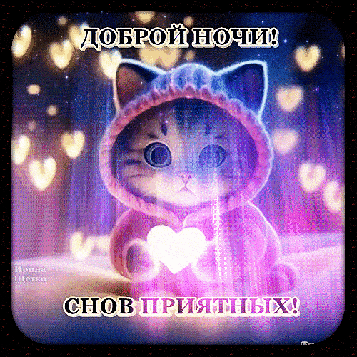 Открытка «Доброй ночи»: Милый котёнок желает доброй ночи и приятных снов.