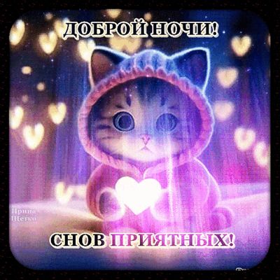 Открытка «Доброй ночи»: Милый котёнок желает доброй ночи и приятных снов.