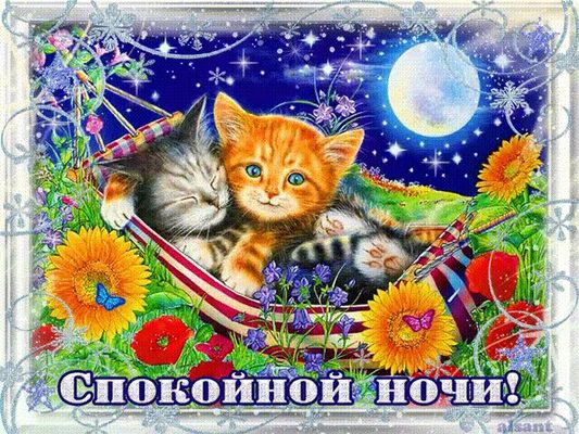 Открытка «Спокойной ночи»: Сладких снов от пушистых котят!. Тэги: Спокойной ночи и добрых снов, Спокойной, нежной ночи…
