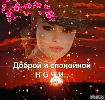 Открытка «Доброй ночи»: Спокойной ночи с нежной красавицей. Тэги: позитивный, женщина, красивый, цветок, девушка…