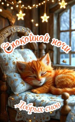 Открытка «Спокойной ночи»: Рыжий котик спит сладко: Спокойной ночи и Добрых снов!. Тэги: Спокойной ночи, с пожеланиями…