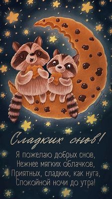 Открытка «Спокойной ночи»: Сладких снов и доброй ночи с енотами на месяце. Тэги: Добрый вечер и пожелания, Добрый веч…