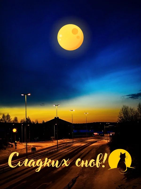 Открытка «Сладких снов»: Сладких снов под луной: ночной пейзаж с котом. Тэги: Добрый вечер и пожелания, Добрый вечер…
