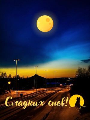 Открытка «Сладких снов»: Сладких снов под луной: ночной пейзаж с котом. Тэги: Добрый вечер и пожелания, Добрый вечер…