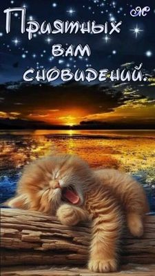 Открытка «Доброй ночи»: Сладких снов от пушистого сони под звездным небом.