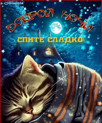 Открытка «Доброй ночи»: Спокойной ночи, спите сладко: очаровательный кот в пледе.
