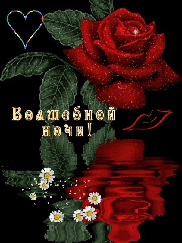 Открытка «Доброй ночи»: Волшебной ночи с красной розой и сердечком.
