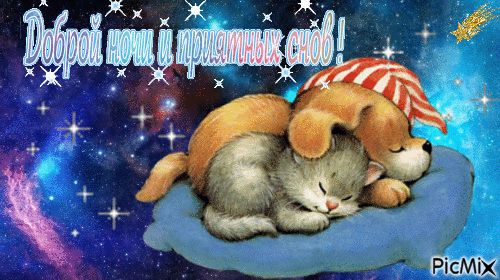 Открытка «Доброй ночи»: Сладких снов под звездным небом!.