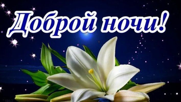 Открытка «Доброй ночи»: Спокойной ночи с нежной лилией.