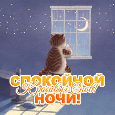 Открытка «Добрый вечер и пожелания»: Спокойной ночи и красивых снов. Тэги: Прикольный добрый вечер, Добрый позитивный…